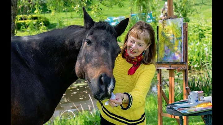 A Photo Shoot with Susan Falk & her two Donkey a H...