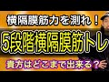 【ボイトレ】あなたは何レベル?1から5レベルで確認する横隔膜の筋力!【歌うま】【ボイストレーニング】【カラオケ】
