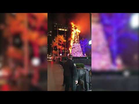 В Нью-Йорке бездомный поджег 15-метровую рождественскую елку #shorts