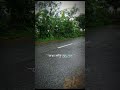 রাসূল সাঃ বলেছেন যে হিংসা করে হিংসা তাকে খেয়ে ফেলে। #hijab #campursari #coversong