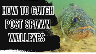 Top 3 Baits to Catch Post Spawn Walleyes