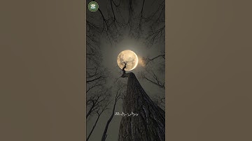 ولا تقربوا الزنا إنه كان فاحشة وساء سبيلاسورة الأسراء _الأية(32)القارئ/#ياسر_الدوسري#خدمة_حكم_ومواعظ