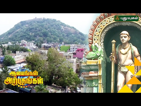Palani Murugan Temple | Aalayangal Arputhangal | 31/01/2017
