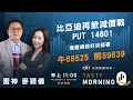 比亞迪再掀減價戰 PUT 14601 滙豐績前好淡部署 牛68525 熊59639｜雷神 麥穎儀｜Tasty Morning Q 2024-02-20