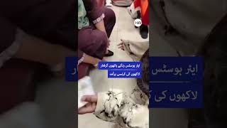 Air Hostess Arrested Red-Handed Smuggling Dollars in Socks! 😱✈️ #airhostess #PIA