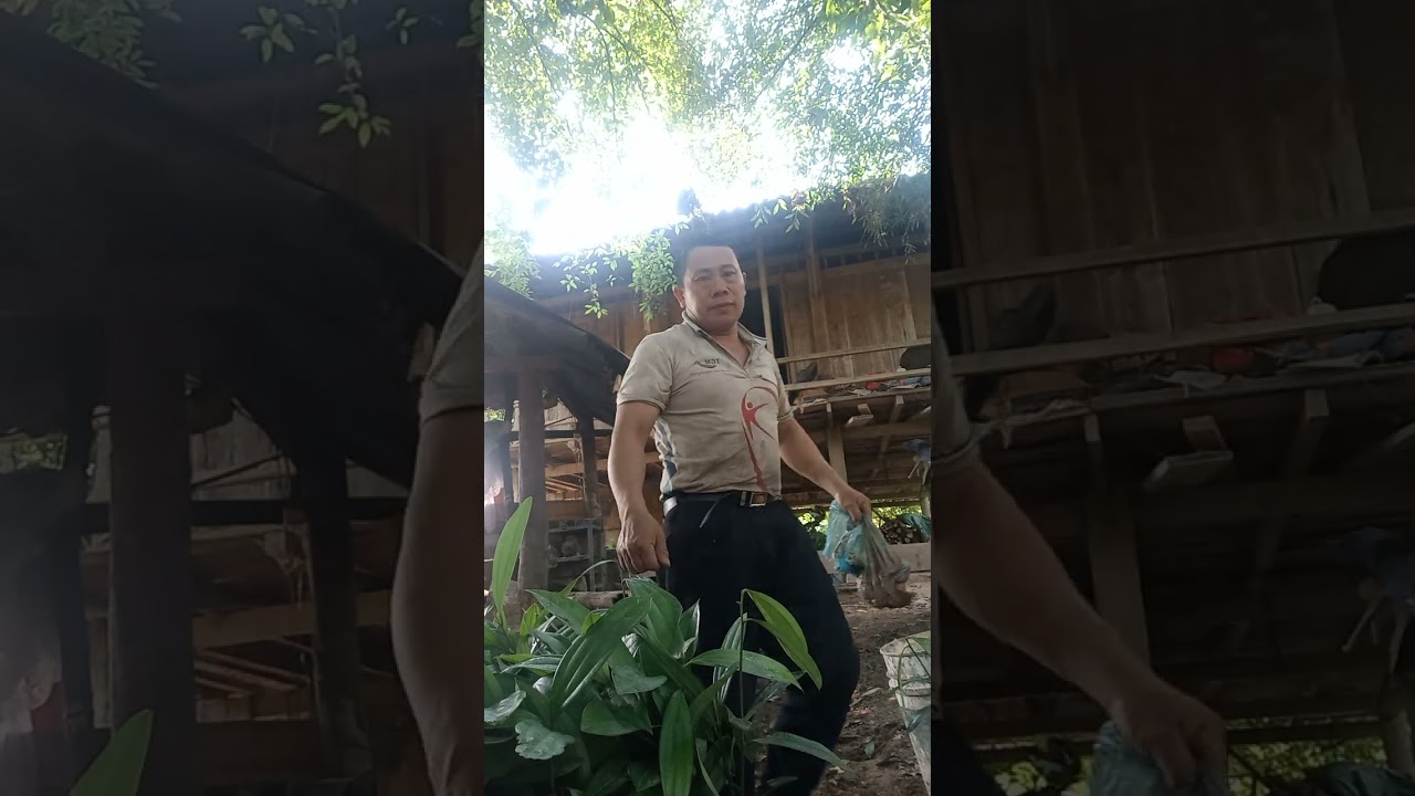 iu miền zung, nhớ anh em quê nhà