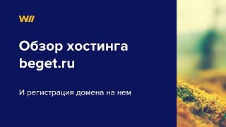Видео обзор beget.ru и регистрация домена на нем Видео обзор beget.ru и регистрация домена на нем