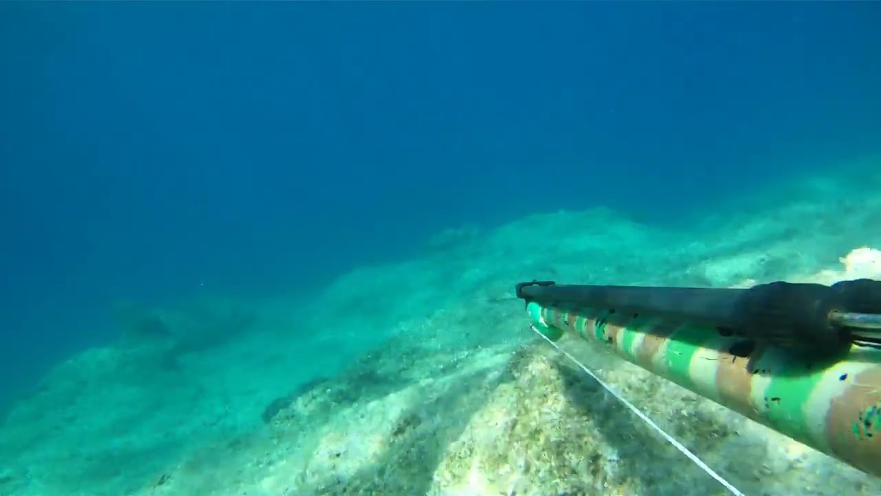 ψαροντουφεκο είπα μπορεί δεν μπορεί κάπου θα σε τρακάρω