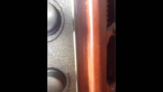 Animal Action A Creative Movement Song For Kids By Greg And Steve