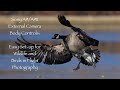 Sony A9/A9II External Camera Body Controls & Easy Setup for Birds in Flight and Wildlife Photography