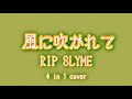 風に吹かれて / RIP SLYME / 4 in 1 cover / karaoke  @FIZZch
