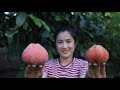 Have You Ever Seen This Fruit ? / Make Fruit Dessert in Longan Sauce - By countryside life TV.