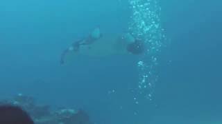Maldives - Manta Cleaning Station
