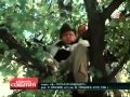 В Евпропе запретили фильм "Гостья из будущего"