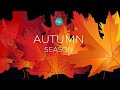 Nextup comedy  autumn season 2019 trailer