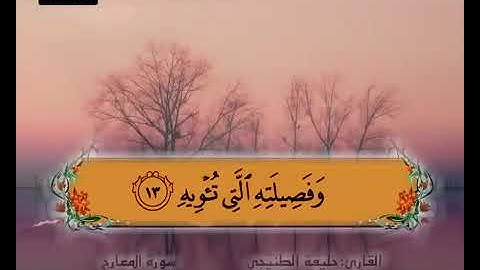 سورة المعارج 11 14
