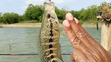 Mancing di Waduk Malahayu – Ep.10
