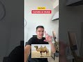 En Dubai ha camello para todos, pero no el camello que todos quieren. Ojo ahí. #Dubai #trabajo