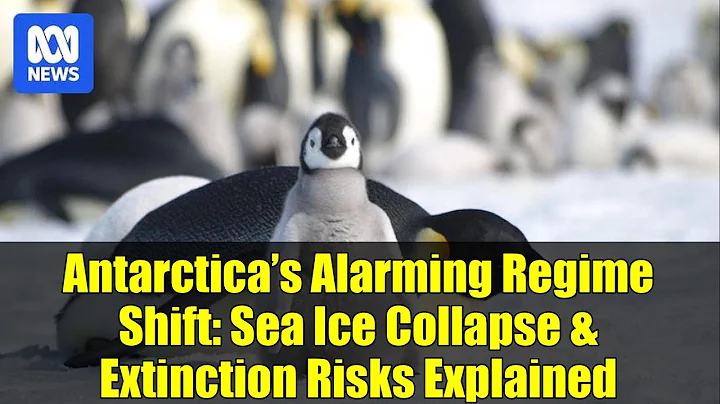 Antarctica’s Alarming Regime Shift: Sea Ice Collapse & Extinction Risks Explained