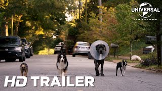 Doggy Style | Offizieller Red Band Trailer deutsch/german HD