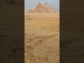 This view of the pyramids never gets old. #travel #egypt #pyramids #pyramid #ancienthistory #2023