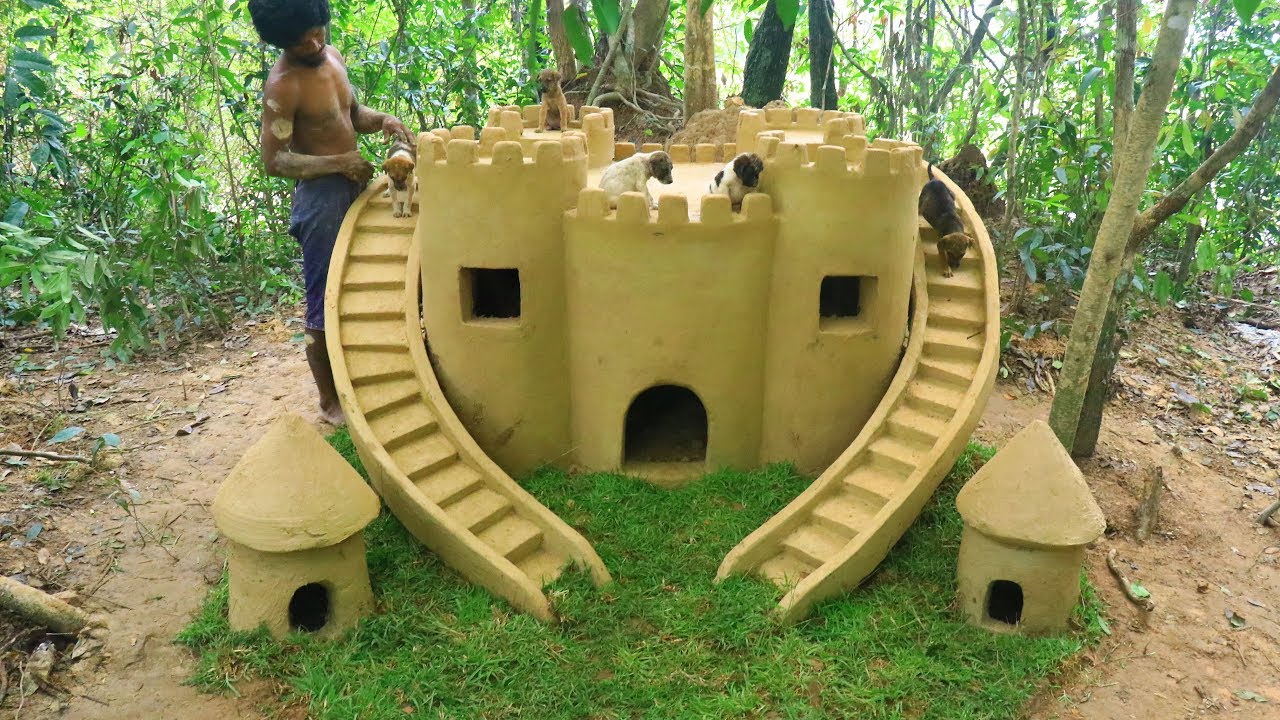 Homeless Puppies Was Rescued And Build Dog House From Mud