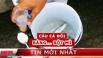⚡ Tin mới nhất | Người dân Nha Trang chen nhau câu cá đối bằng bột mì