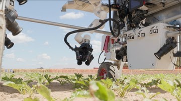 Automated Leaf-Level Inspection (Extended Version)