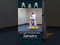 Sanseru 🥋 #shorts #Karate #Karatedo #kata #Kihon #kumite #shitoryu #shotokan