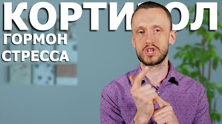 🚑 Кортизол, что ты такое? 💊