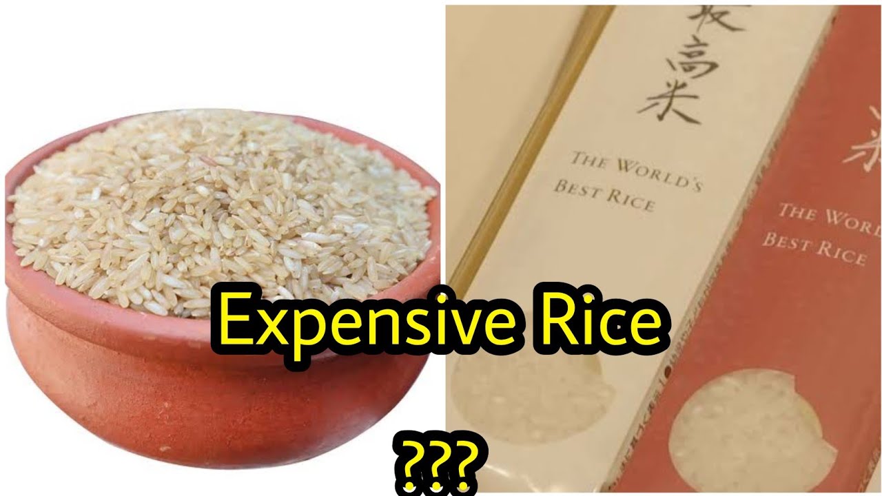 KINMEMAI - MOST EXPENSIVE RICE.. - YouTube