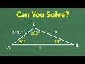 Understanding Triangles and the Law of Sines
