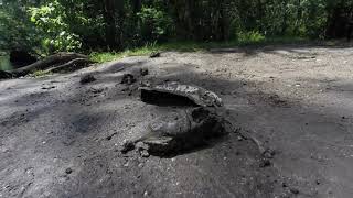 soft shell turtles slaughtered in the ocala national forest, contacted the FWC screenshot 2