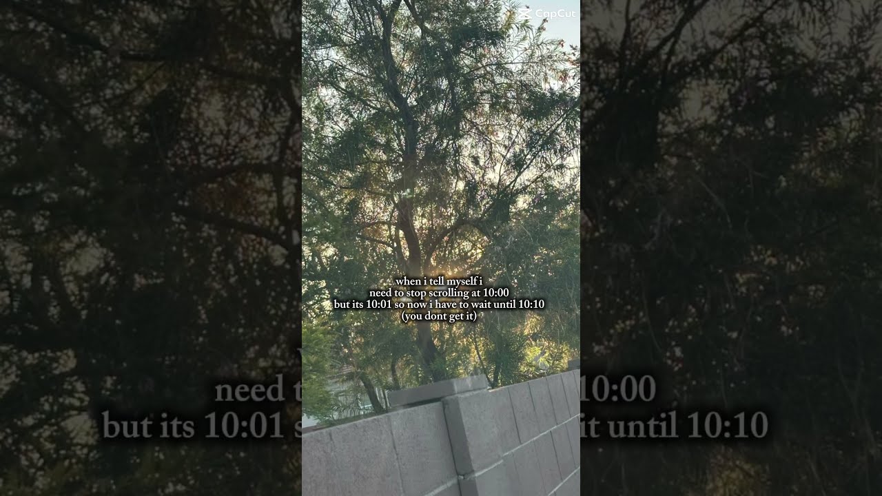 Real Audio Vent Foryou Relatable