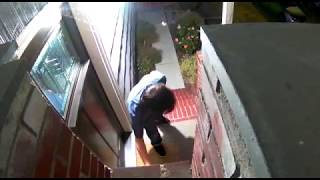 WSB reader video: Mailbox prowler