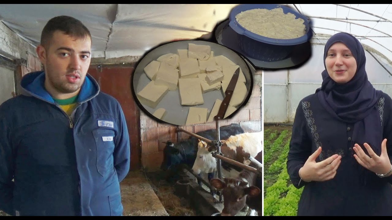 Farma na imanju ili idem BABO u inostranstvo