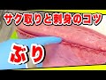 ぶりのさばき方【サク取りと刺身のコツとは?】徹底解剖