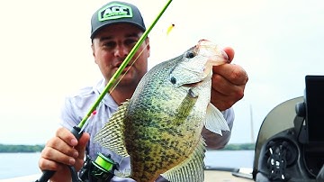 Crappie Fishing with the Double Jig Rig in September (Early Fall Fishing)
