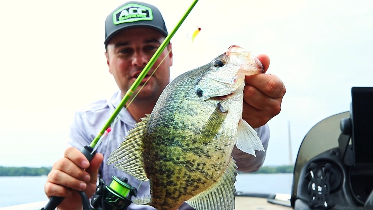 Crappie Fishing with the Double Jig Rig in September (Early Fall Fishing) 