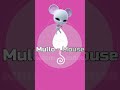 Kwamis In Real Life Mullo Mouse Miraculous Ladybug Shorts