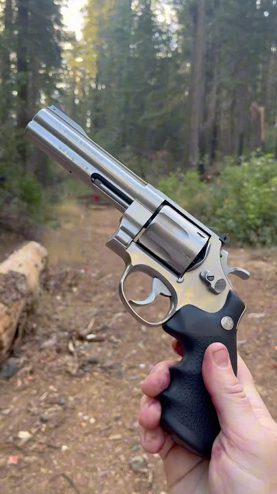 Smith and Wesson 629 Classic