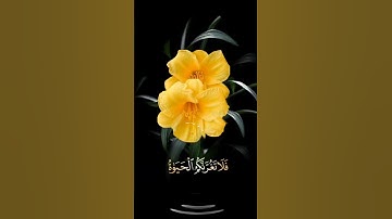 صباح الخير🌼 اجمل حالات واتس اب مقاطع قصيره🌼 قران كريم سورة فاطر ياأيها الناس🌼 أحمد النفيس🌼بدون حقوق