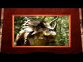 Triceratops (HD) from 3-D Dinosaur Adventure MS-DOS/Packard Bell Version