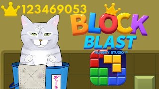 ブロックを猫パンチする配信！ #ブロックブラスト #BlockBlast #HungryStudio #Shorts