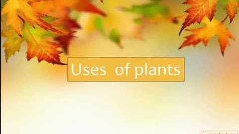 Class 2 Science ||Topic Uses of plants Lesson 17.By Huma Babar
