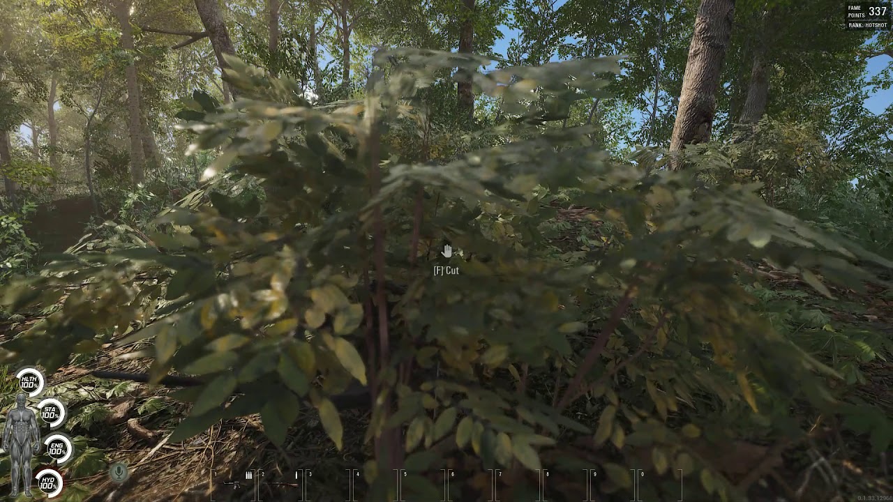 SCUM - Camo 101 - Become the bush