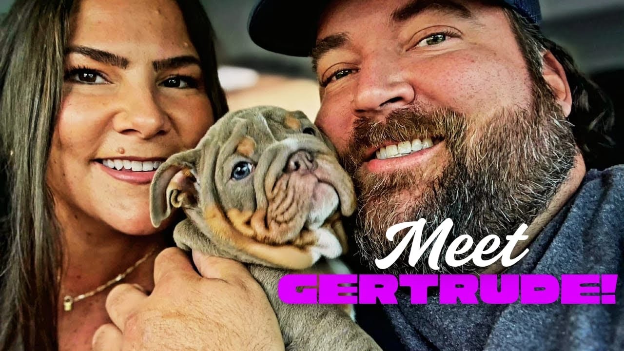 Bringing Home Our English Bulldog Puppy!🐶 Ep.195