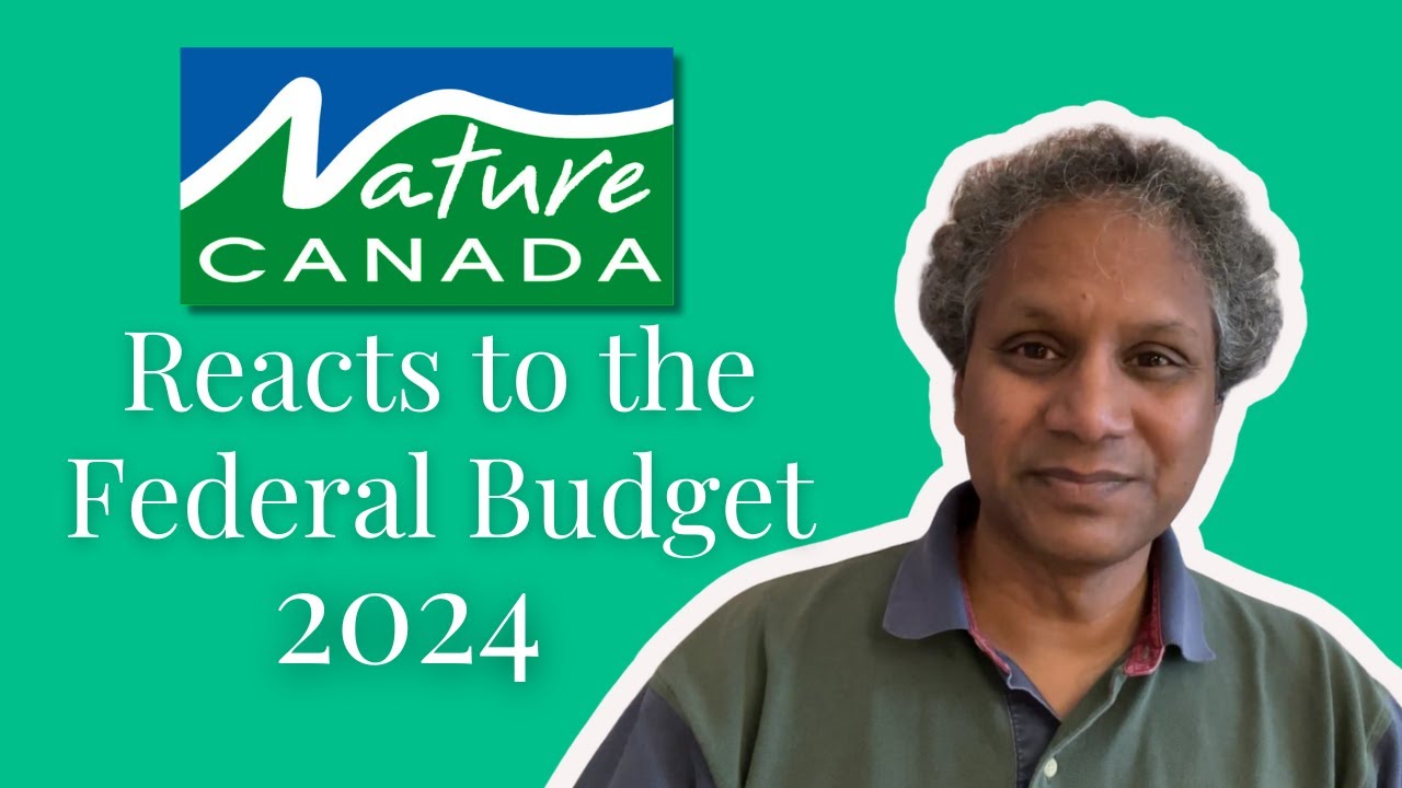 Nature Canada Reacts to the 2024 Federal Budget