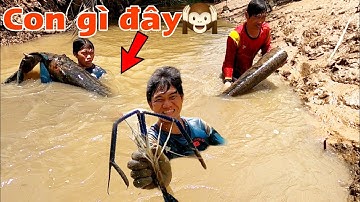 Hổn Chiến Với Tôm Càng Quá Sướng Tay Luôn /Đạt Nguyễn Cần Giờ