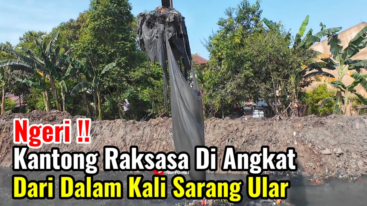 Ngeri‼️Kantong Raksasa Diangkat Dari Dalam Kali Sarang Ular Karang Satria